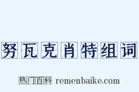 努瓦克肖特组词是什么意思的图片
